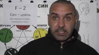 Женские и Мужские половые органы.