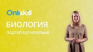 Биология 7 класс : Подтип Бесчерепные