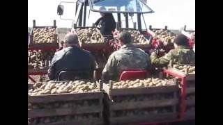 Сажалка пророщенного картофеля СПК-4