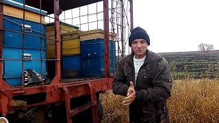 ПЧЕЛОВОДСТВО МОЯ ТЕЛЕГА  Секреты начинающим