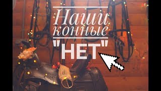 НАШИ КОННЫЕ "НЕТ" | KM