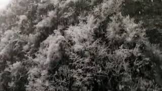 Абхазия. Юпшарский каньон