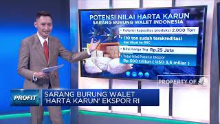 Sarang Burung Walet 'Harta Karun' Ekspor RI