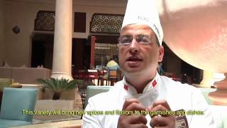 Traiteur Marocain Rahal : Bocus d'or maroc 2012