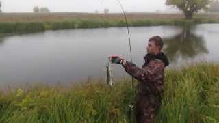 Ловля мелкой щуки на воблер Daiwa TD minnow SP в Астрахани Pike attack