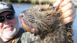 Hunting giant swamp rats in Louisiana with a Ruger 10/22 - and a big stick!