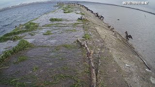 TimeLapse. The Burshtyn Water Reservoir. 6 february 2020  Camera 2.