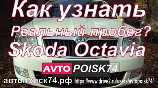 Как узнать реальный пробег Skoda Octavia?