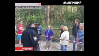 У Києві через вирубку лісу сталася сутичка зі стріляниною