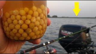 КАРП на ОЛИВЬЕ С КУКУРУЗЫ.  НОВЫЙ ГОД БЛИЗКО