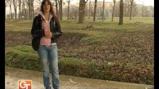 Priča koja mili