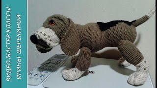 Собака Бигль, ч.1.  Dog Beagle, р.1.  Amigurumi dog. Амигуруми собака.