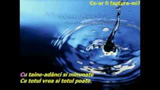 Alin Timofte - Ce ar fii faptura-mi ? negativ crestin