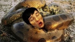 ЗМЕИ - УБИЙЦЫ. 5 Самых опасных и ядовитых змей. 1 ч.