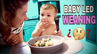 ¿QUÉ es el BABY-LED WEANING? EXPLICACIÓN, CONSEJOS y RECETA | VLOGS