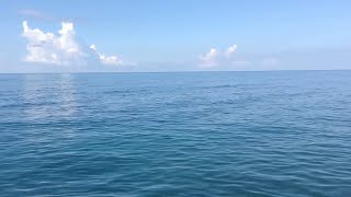 ДЕШЕВЫЙ ОТДЫХ НА ЧЕРНОМ МОРЕ КЕМПИНГ ПЛЯЖ ГАЛЬКА
