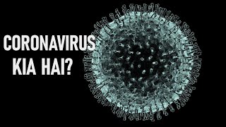 What Is The Coronavirus | Hindi-Urdu|Wisdom Unfolded