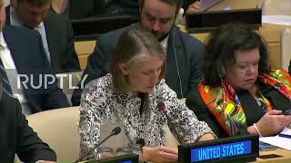 UN: US rep. accuses Russia of trying to use UNSC to 'weaken' OPCW's credibility