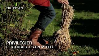Calendrier du jardinier: Nos conseils jardin pour mi-novembre - Jardinerie Truffaut TV