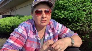 ПРОШУ СОВЕТА #3. ВЫШЛА ЗАМУЖ ЗА НЕ ТОГО МУЖЧИНУ ??ЭЛЯ В США S2E76