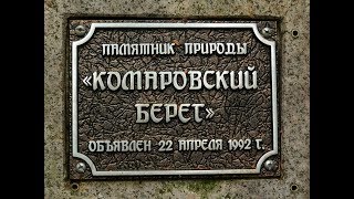 Путешествие на дно "Литоринового моря" 09.07.2017