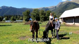 Архыз. Утренняя прогулка с Дядя Гера на лошадях. Arhiz. Morning ride by horses.