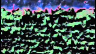 Epstein - Snail Strut