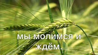 Дух Святой, сойди дождём (Дай свободу птице)(Христианское караоке)