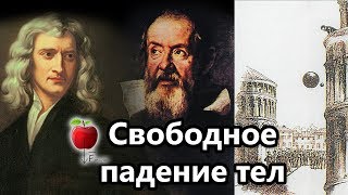 Свободное падение тел.  Сила тяжести.  Сила притяжения.