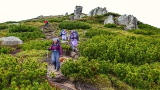 Поход в Карпаты день 7  й спуск через Вухатый камень к Дземброне