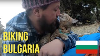 Cats journey into Sofia ???‍♂️