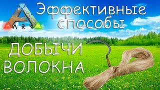 Лучшие методы фарма волокна в ARK Survival Evolved