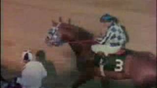 SECRETARIAT - 1973 Preakness Stakes Recap