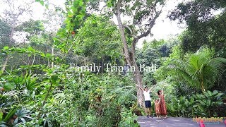 バリ島ウブドへの家族旅行 ロケーションビデオムービー