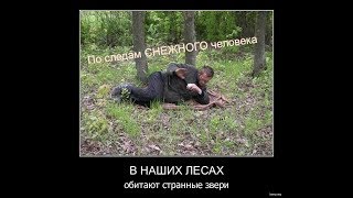 Бомжи в лесу