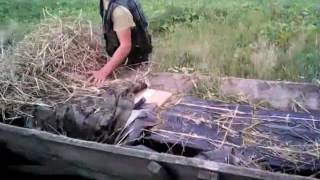Дідусь намагався перемістити 12 ящиків сигарет, сховавши під сіном у підводі