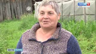 Тракторы тонут: Что пожнет Пермский край в 2017?