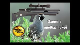 Охота на куропаток