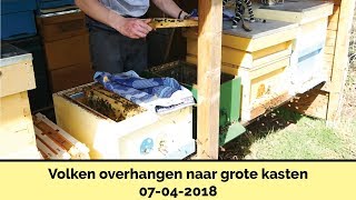 Bijenvolken overhangen naar grote kasten - 7 april 2018