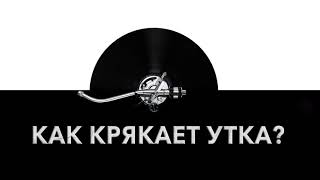 Как крякает утка? ? Звуки крякающей утки и какие звуки издает утка