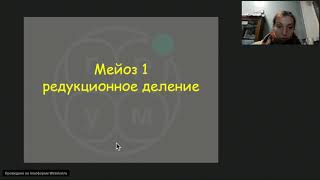Мейоз.  Запись вебинара.
