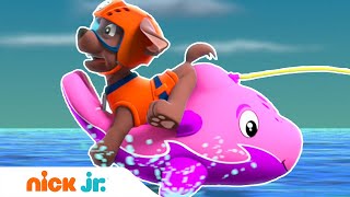 Щенячий патруль | Щенки спасают дельфинёнка ? | Nick Jr. Россия