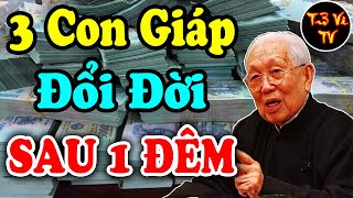Số Trời Định Sẵn 3 Con Giáp TRÚNG SỐ LIÊN TIẾP, Mau Mua Két Sắt, Giàu Có Sau 1 Đêm