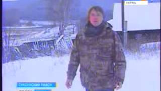 В пермской деревне нашли следы чупакабры Страшное интересное и невероятное видео, явление