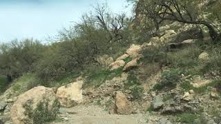 Mn guys and gals riding around the Arizona desert and mountains
