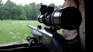 Охота на кабана.Часть 4.Boar hunting