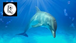 11 Hours of Relaxing Music | Relaxation Music - New Age Music