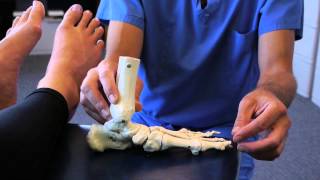 Spread Your Toes™ Series: Flat Feet Conservative Care vs. Conventional Care