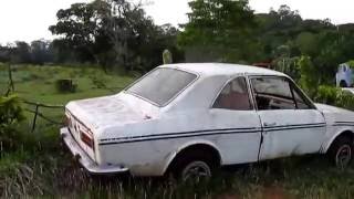 MAIOR COLECIONADOR DE CARROS DO  PARANÁ  COLEÇÃO FARINA