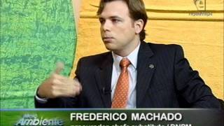 Meio Ambiente por Inteiro -- mineração e suas consequências
